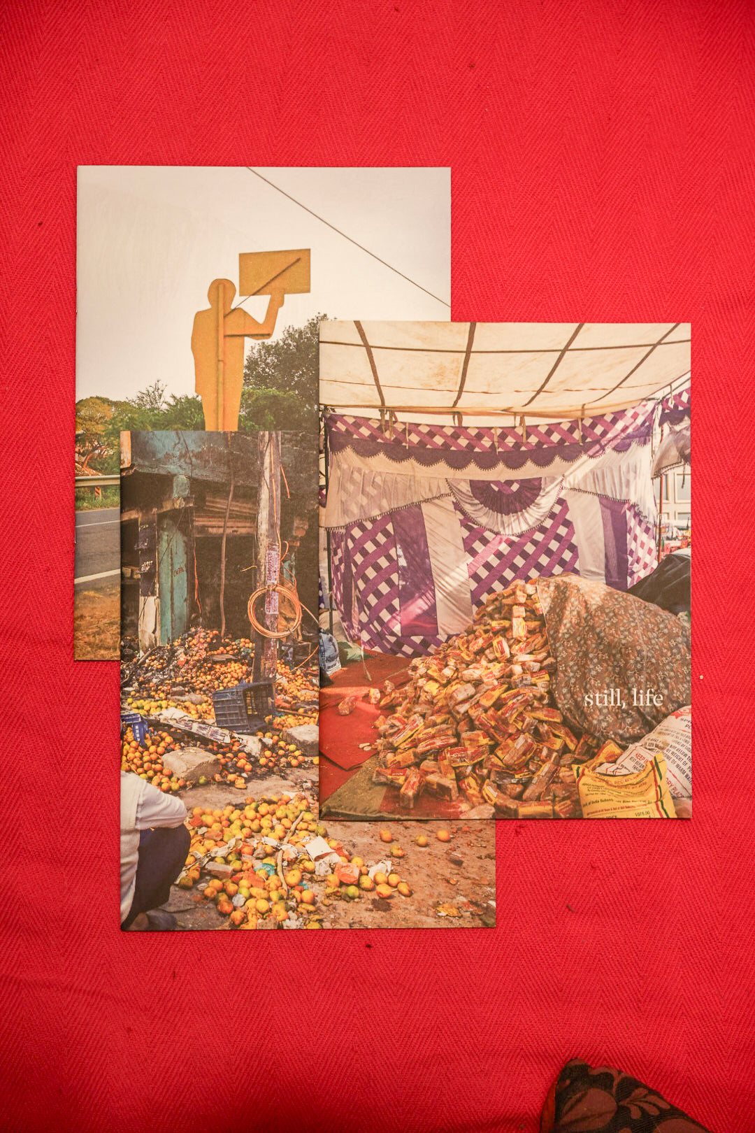 Still Life - Ishan Tankha