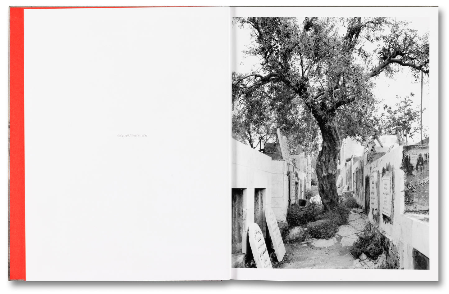 Anchor in the Landscape by Adam Broomberg & Rafael Gonzalez