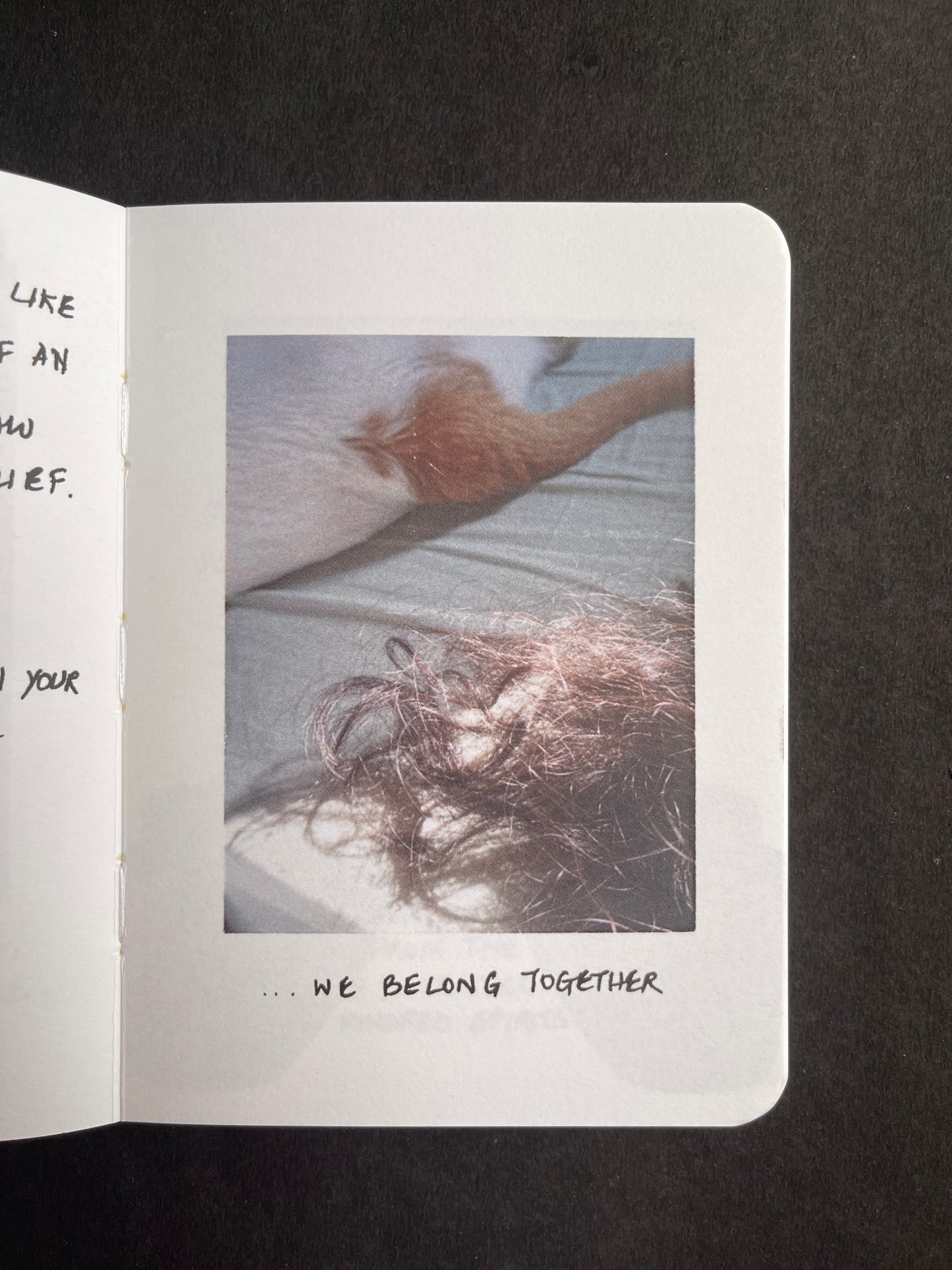 The Crazy Cat & Lady by Nidhi Jacob