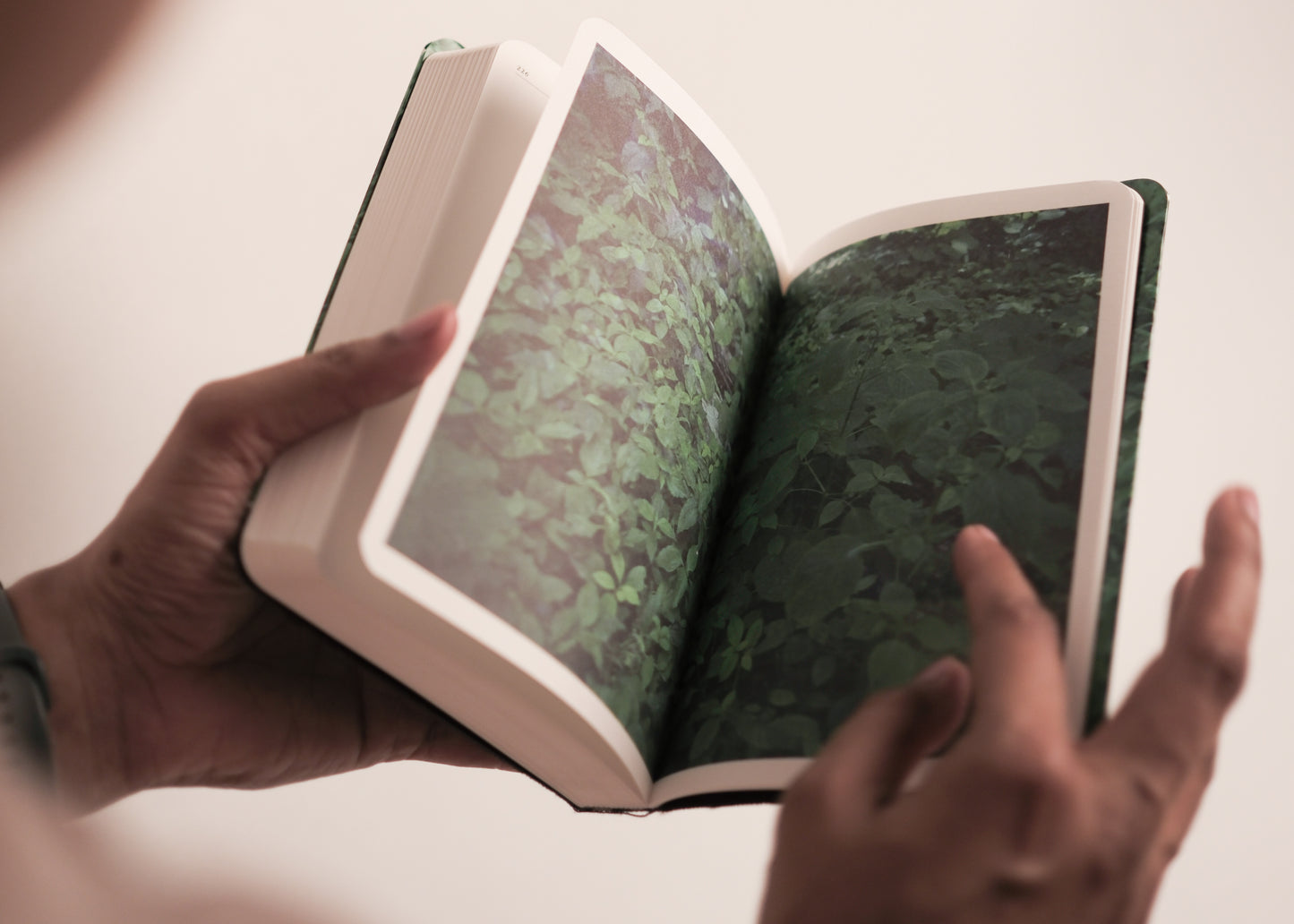 DIRECTORY OF THE OUTSIDERS by Indu Antony