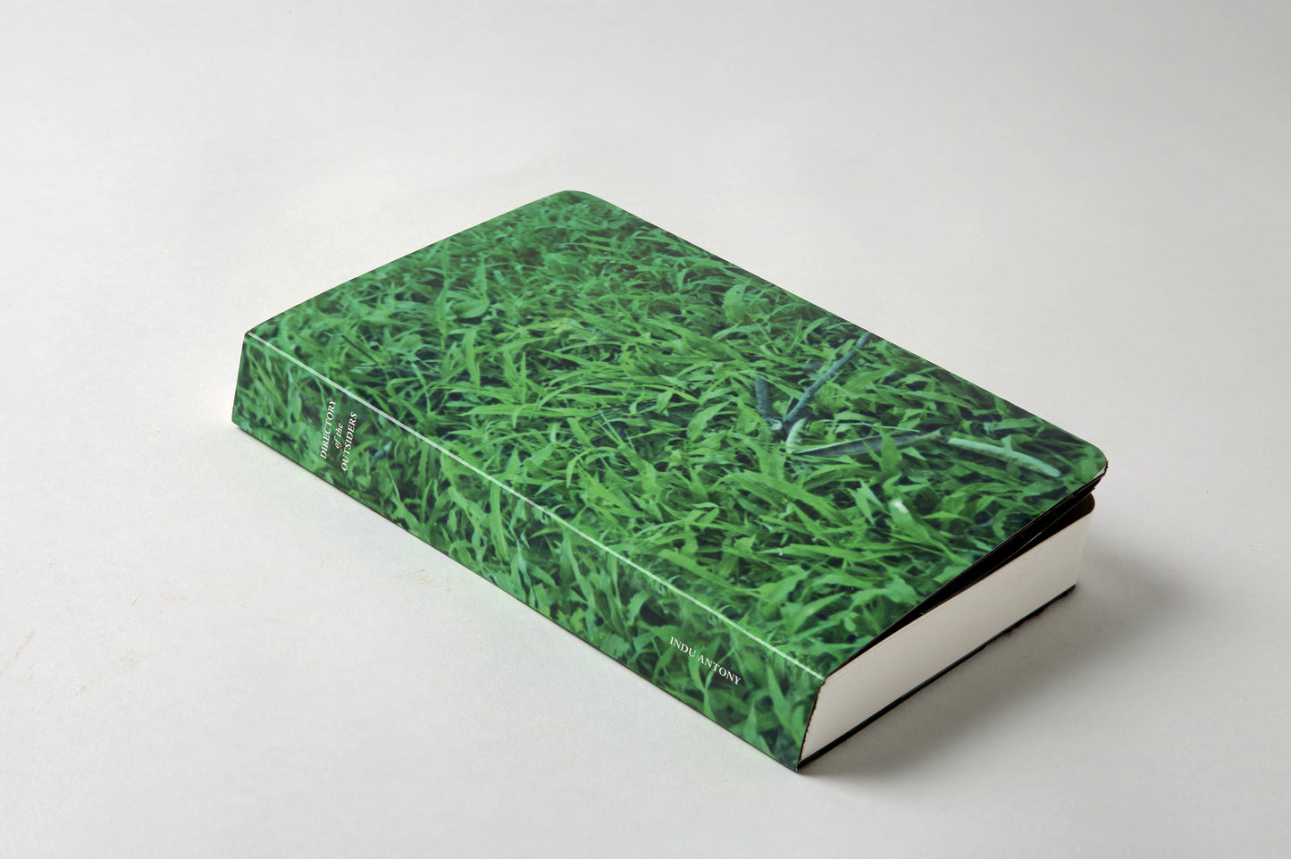 DIRECTORY OF THE OUTSIDERS by Indu Antony