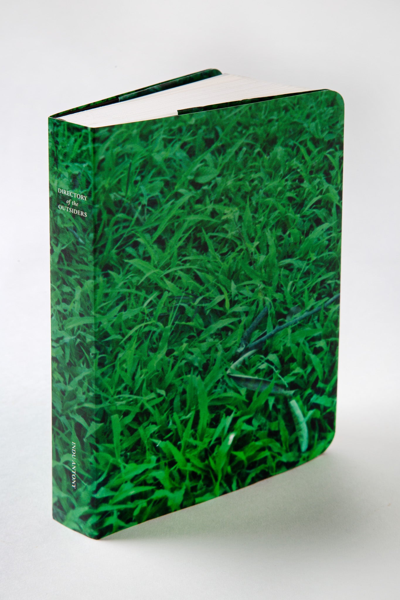 DIRECTORY OF THE OUTSIDERS by Indu Antony