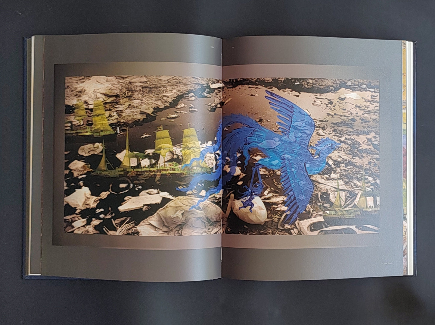 ARC SILT DIVE - The Works of Sheba Chhachhi