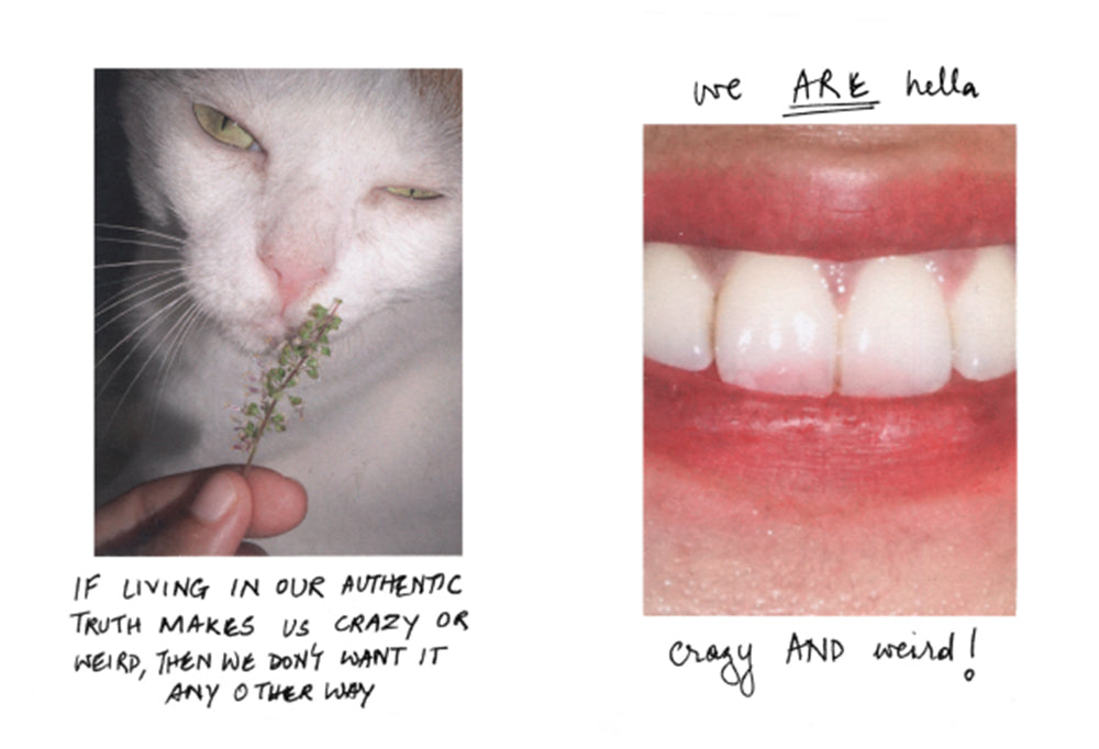 The Crazy Cat & Lady by Nidhi Jacob