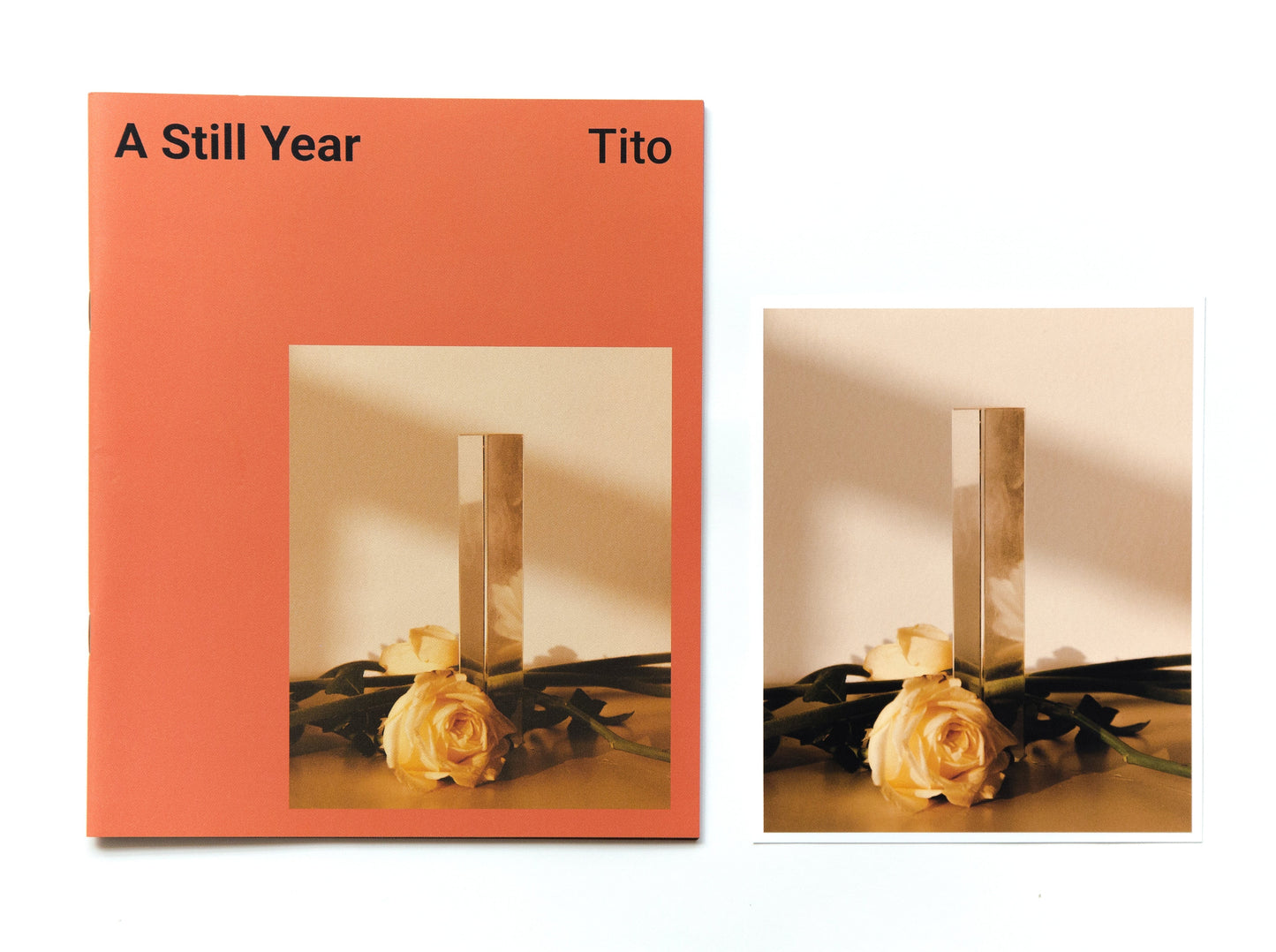 A STILL YEAR Tito
