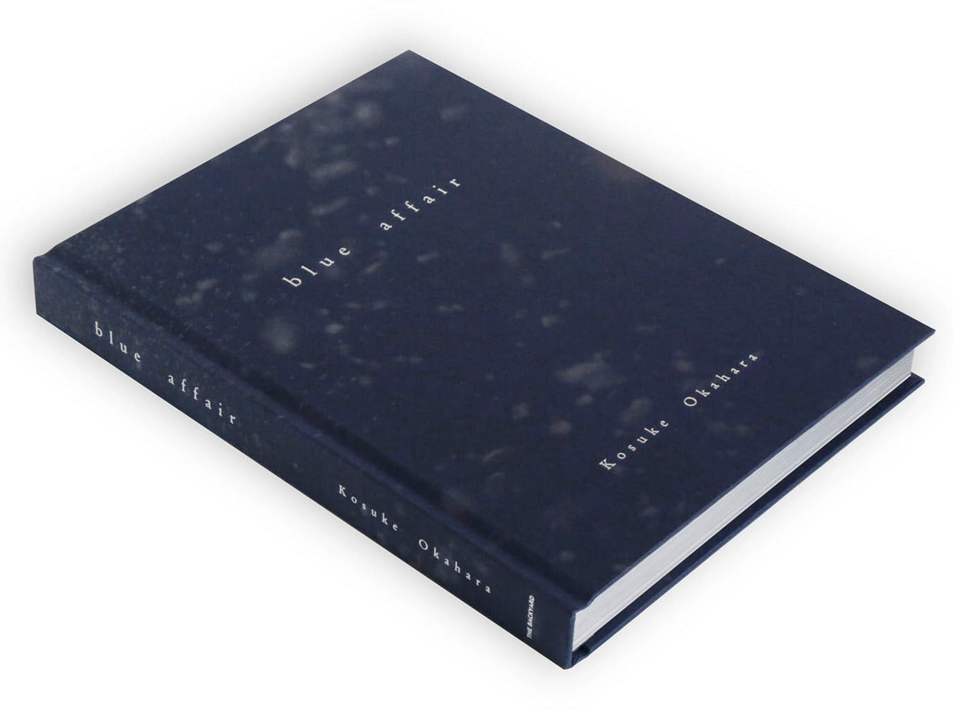 BLUE AFFAIR - Kosuke Okahara