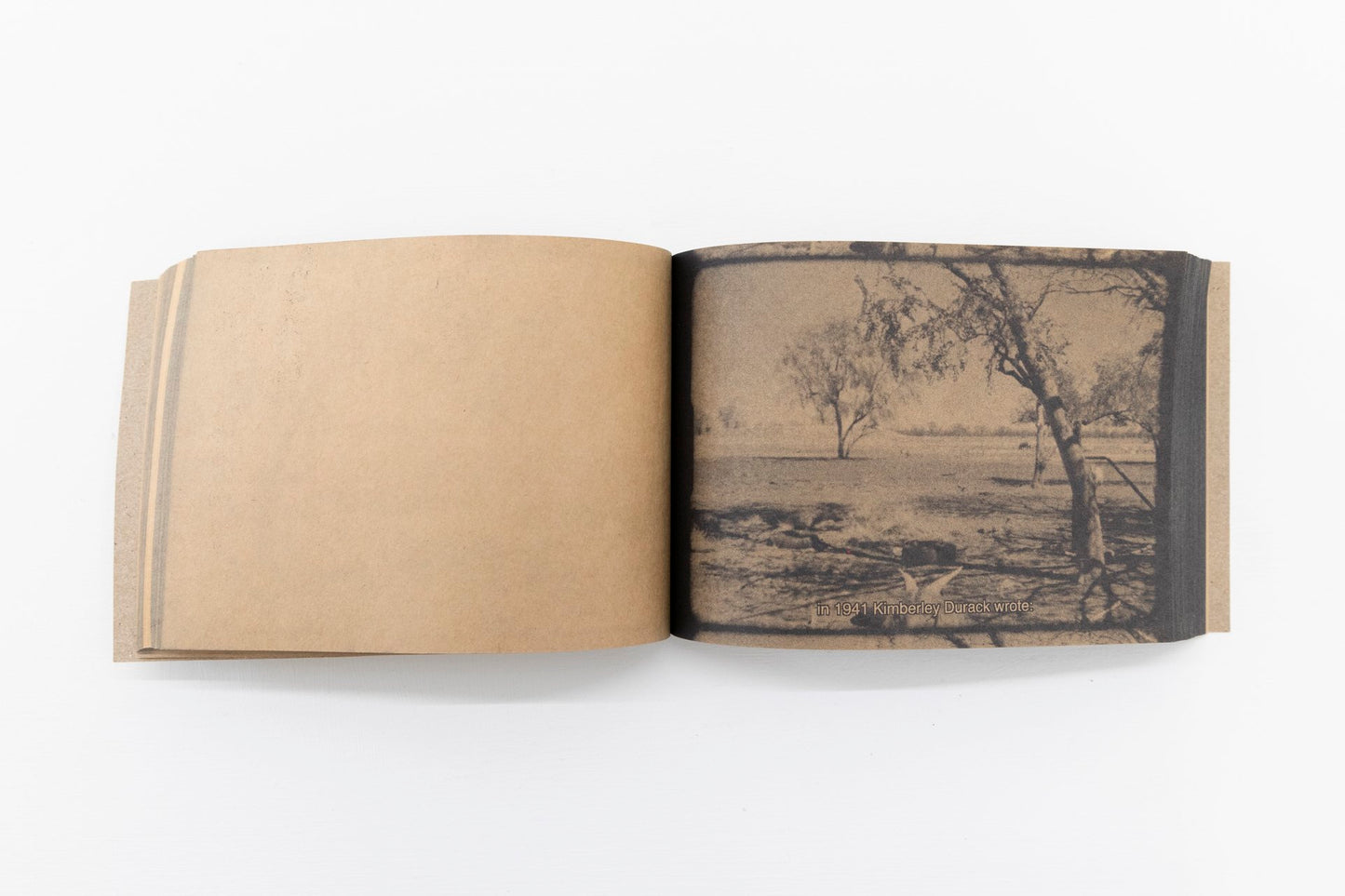 Surveilling A Crime Scene by Alana Hunt