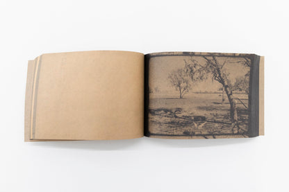 Surveilling A Crime Scene by Alana Hunt