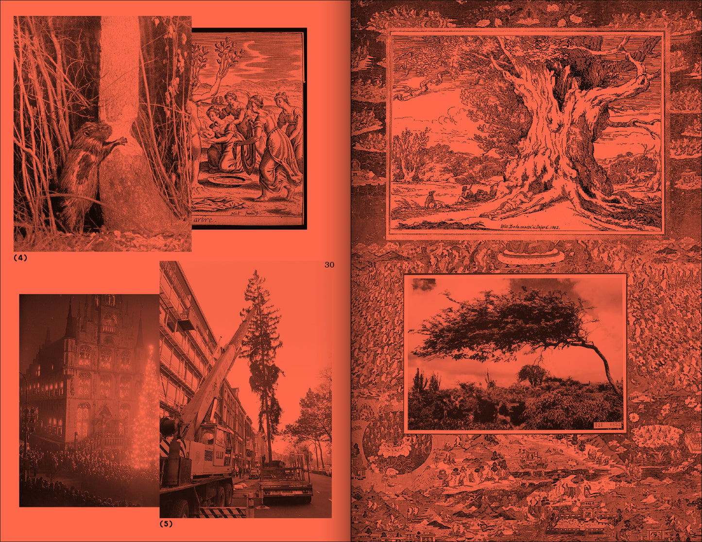 A Tree, A Reader on Arboreal Kinship; edited by Marjolein van der Loo