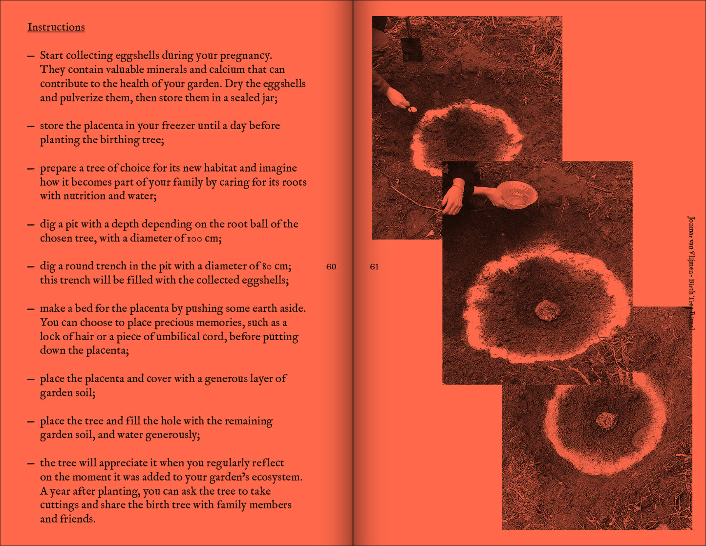 A Tree, A Reader on Arboreal Kinship; edited by Marjolein van der Loo