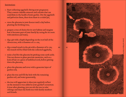 A Tree, A Reader on Arboreal Kinship; edited by Marjolein van der Loo