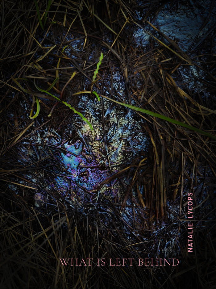 What is Left Behind by Natalie Lycops