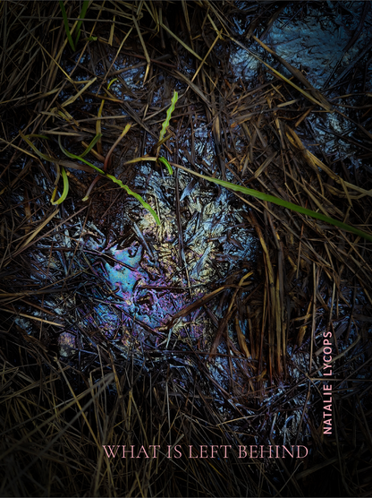What is Left Behind by Natalie Lycops