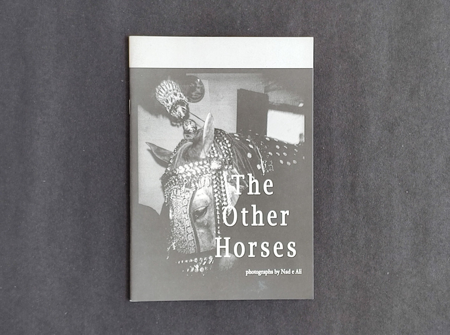 The Other Horses by Nad E Ali