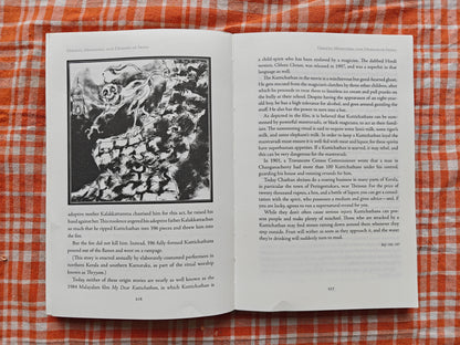 Ghosts, Monsters, and Demons of India