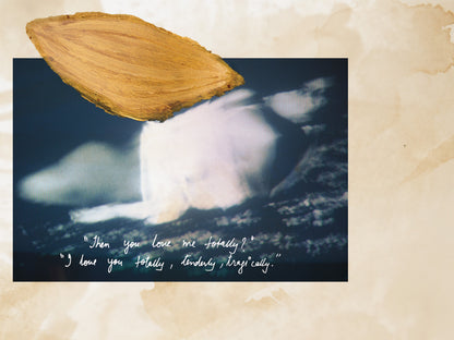 I Will Be Looking At The Moon But I’ll Be Seeing You - Hari Katragadda and Shweta Upadhyay