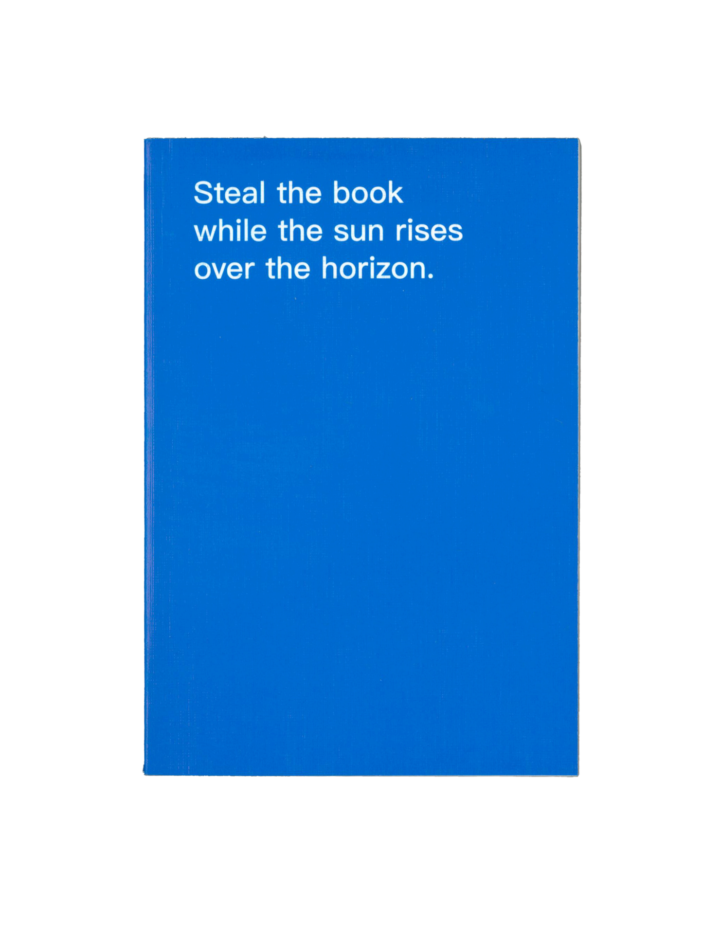 How to shoplift books by David Horvitz