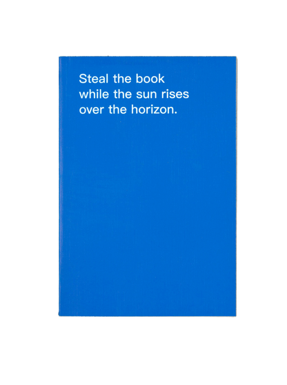 How to shoplift books by David Horvitz