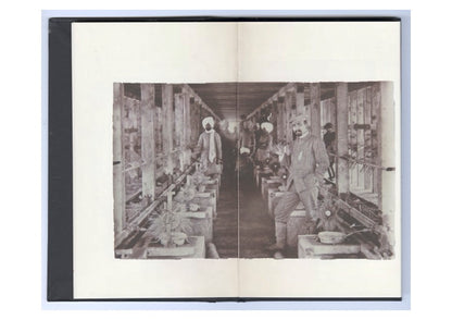 Sparseeing by Abhishek Basu and Joyona Medhi