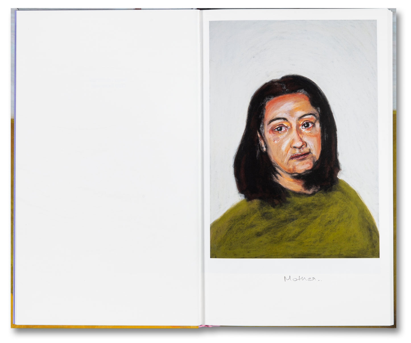 Things Felt But Not Quite Expressed by Sohrab Hura